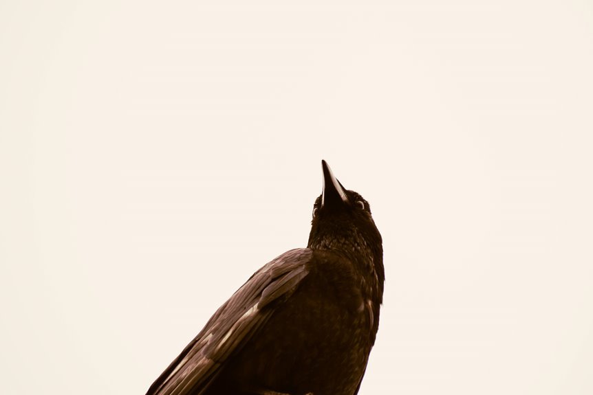 organisational intelligence summary report